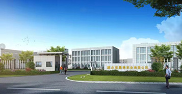 Hubei Baoshengde Pharmaceutical Co., Ltd.
