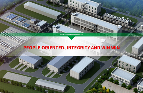 Hubei Baoshengde Pharmaceutical Co., Ltd.